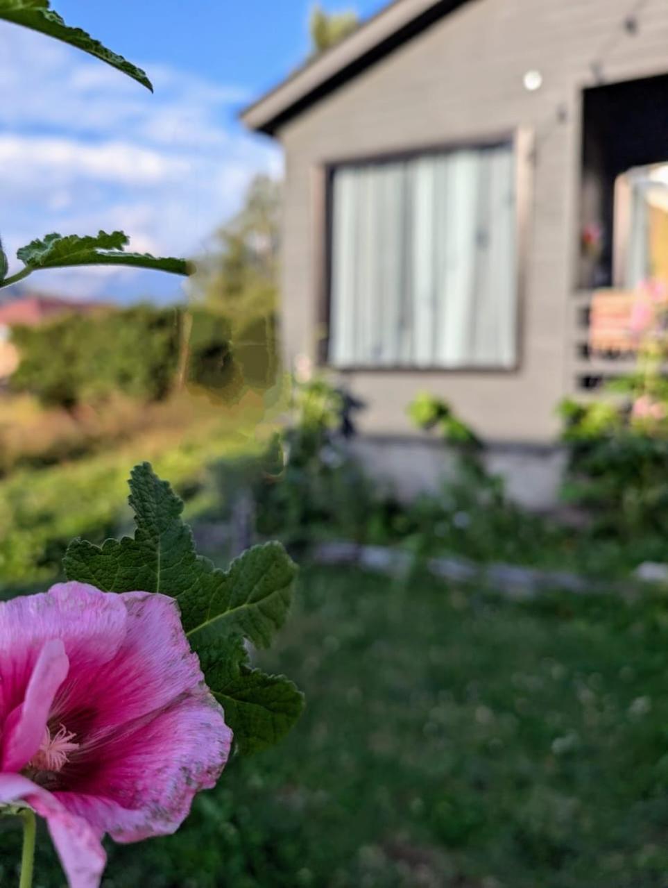 Cottage Kazbegi Sioni Buitenkant foto